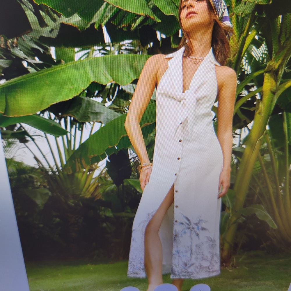 Commense White and Blue Maxi Dress - Picture 6 of 10